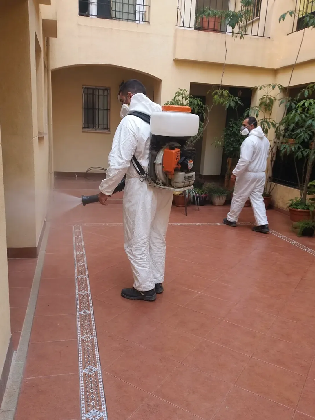 Técnicos de LlinarsPlagas aplicando un tratamiento de fumigación