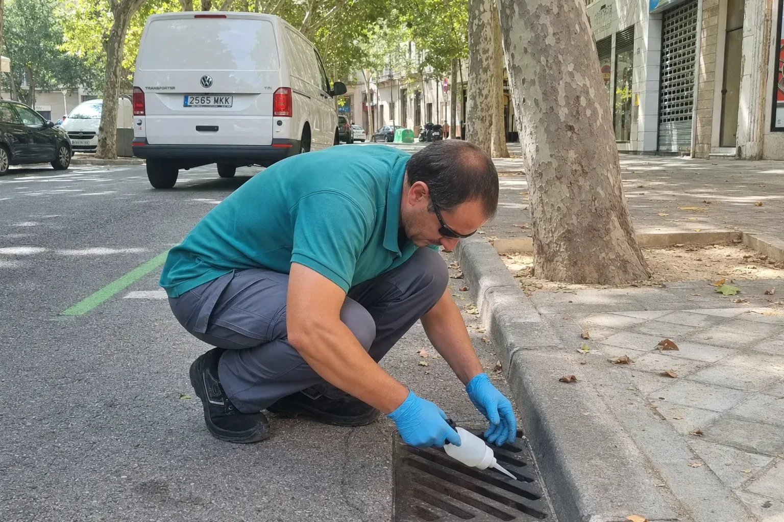 Control del mosquito tigre en Llinars del Vallès — LlinarsPlagas