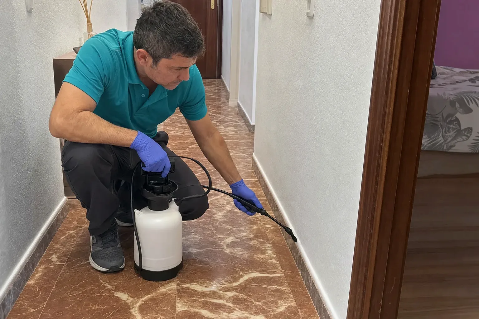 Picaduras al despertar: ¿chinches, pulgas o mosquitos?
