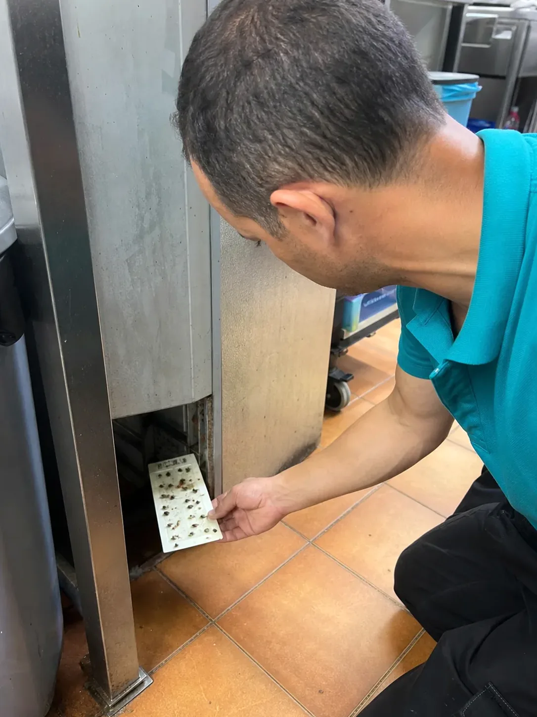 Técnico revisando una trampa de monitoreo de insectos